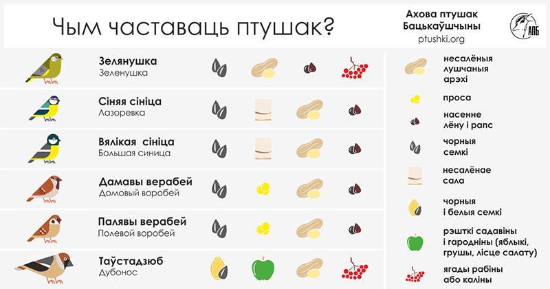 чем кормить птиц зимой 2